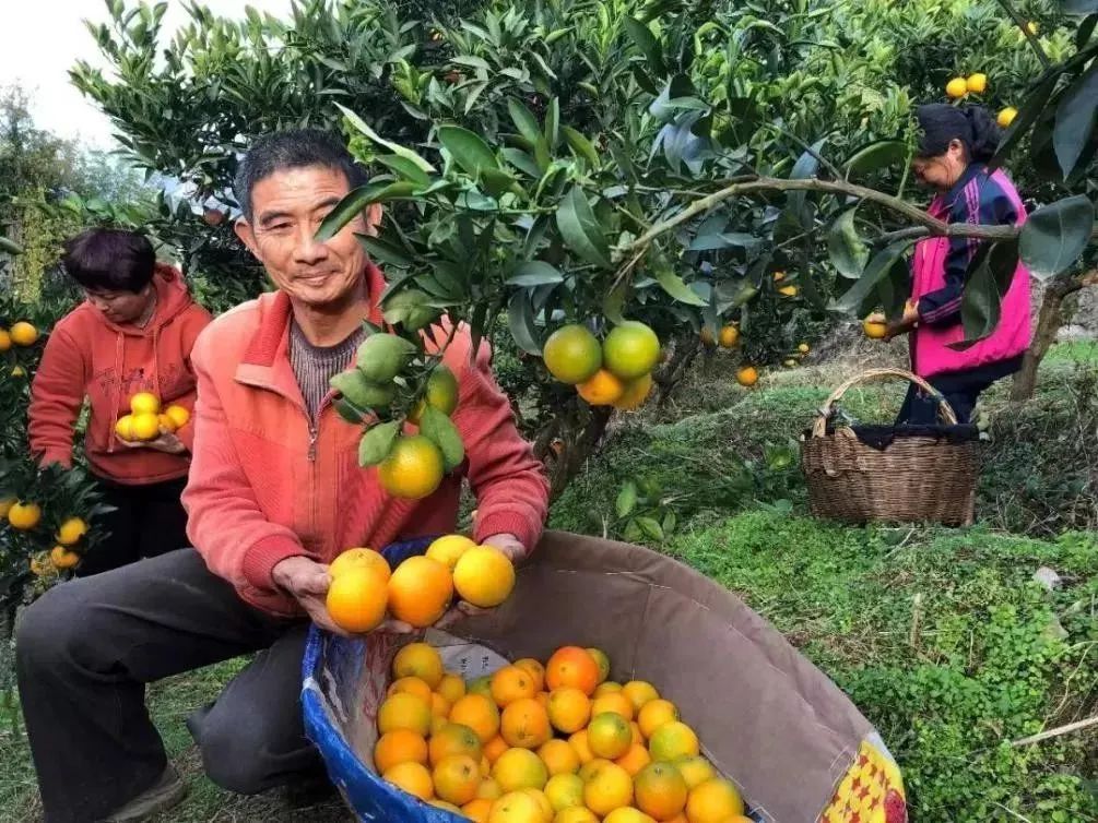 1665049794105044.jpg 9.jpg